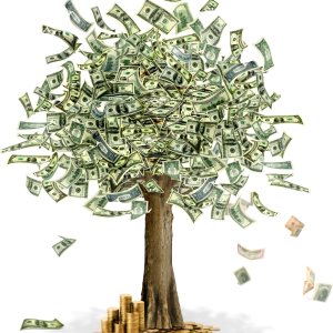 Ārpakalpojuma grāmatvede